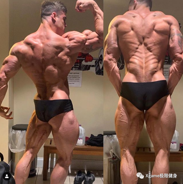 |一张图告诉你，地表最强背部圣诞树有多酷！！