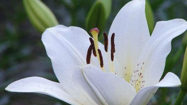 生肖|不好惹，很有骨气的星座，不会忍气吞声，懂得找机会反击