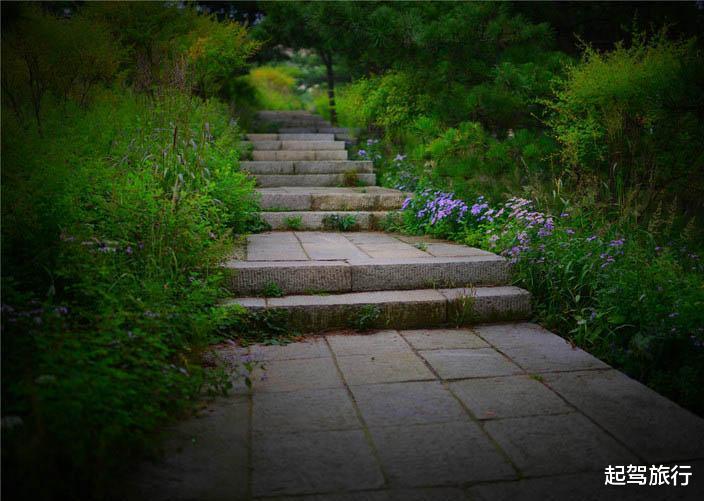 白石山|国庆游泰山别再人挤人，还有一条人少的隐蔽路线，看不一样的好风景