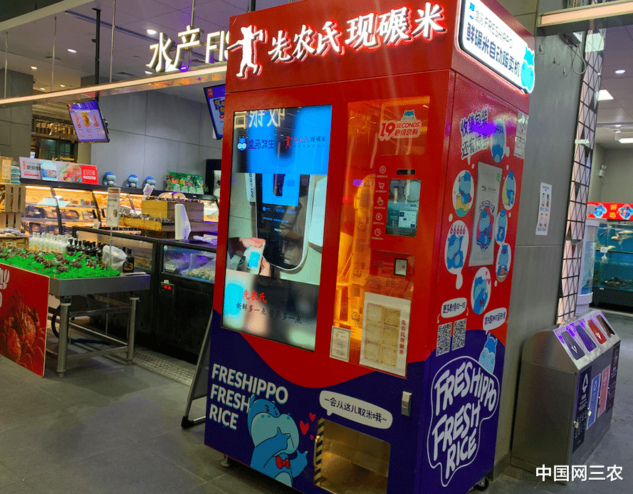 山药|大米像鲜榨果汁一样“淌”出来 盒马现碾米是噱头还是趋势