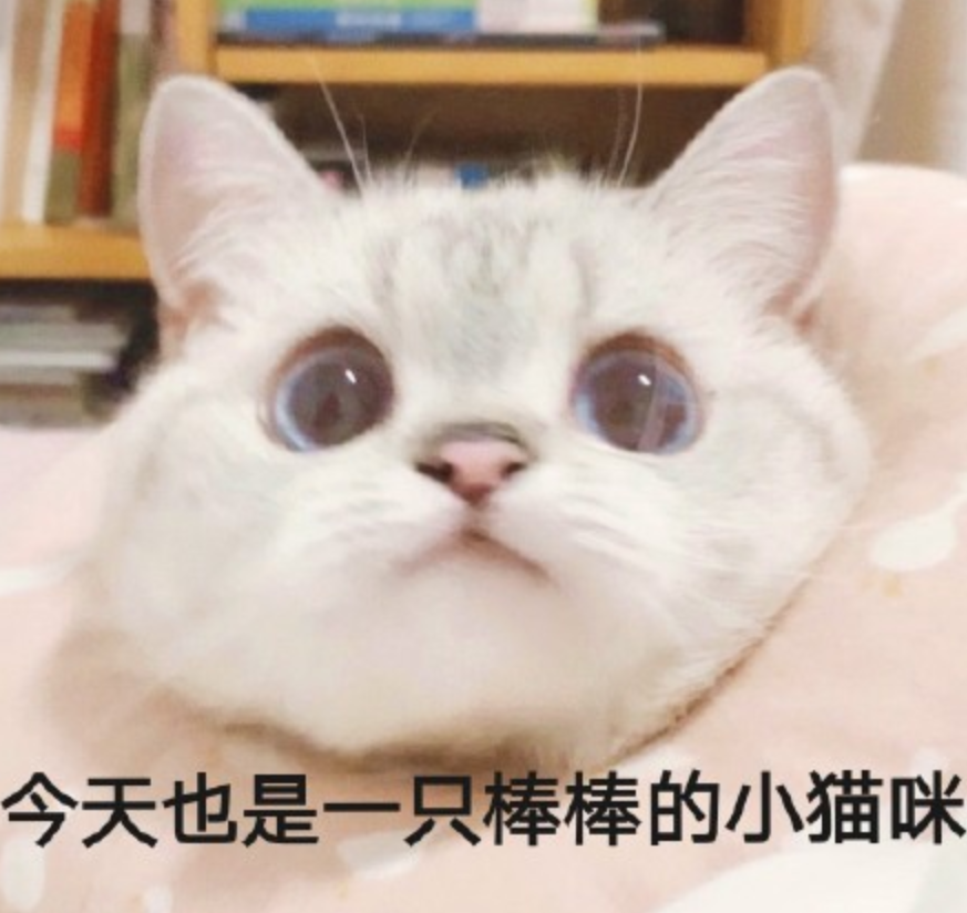 阿玛尼|阿尼玛闭眼入的几个色号：必入款405、秋冬爆款206、温柔经典200
