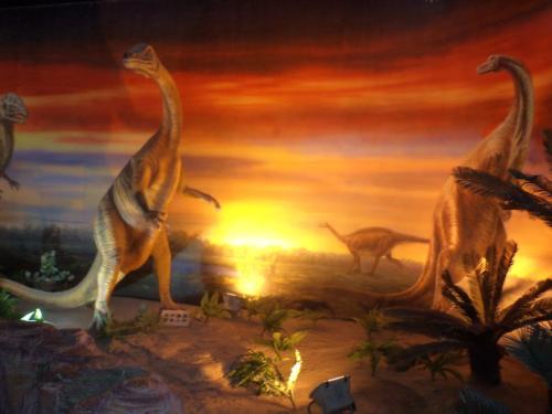 恐龙■6500万年前,小行星不撞击,恐龙会进化成什么?专家有个大胆猜测