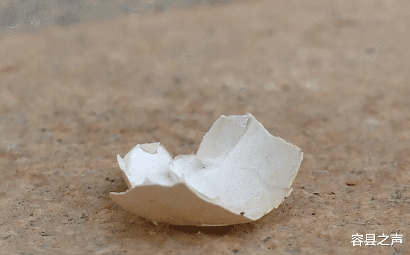 容县之声|广西一女士被鸡蛋砸伤,在同一小区遭遇8次高空抛物!肇事者找到了