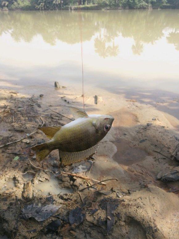 【】钓鱼捡到炮弹？广东男子钓鱼捞起两铁疙瘩，网友：赶紧跑