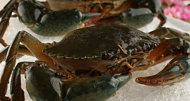 杭州日报|为了吃口螃蟹,杭州男子手烂了!每年这季节高发,医生:别再自作聪明...