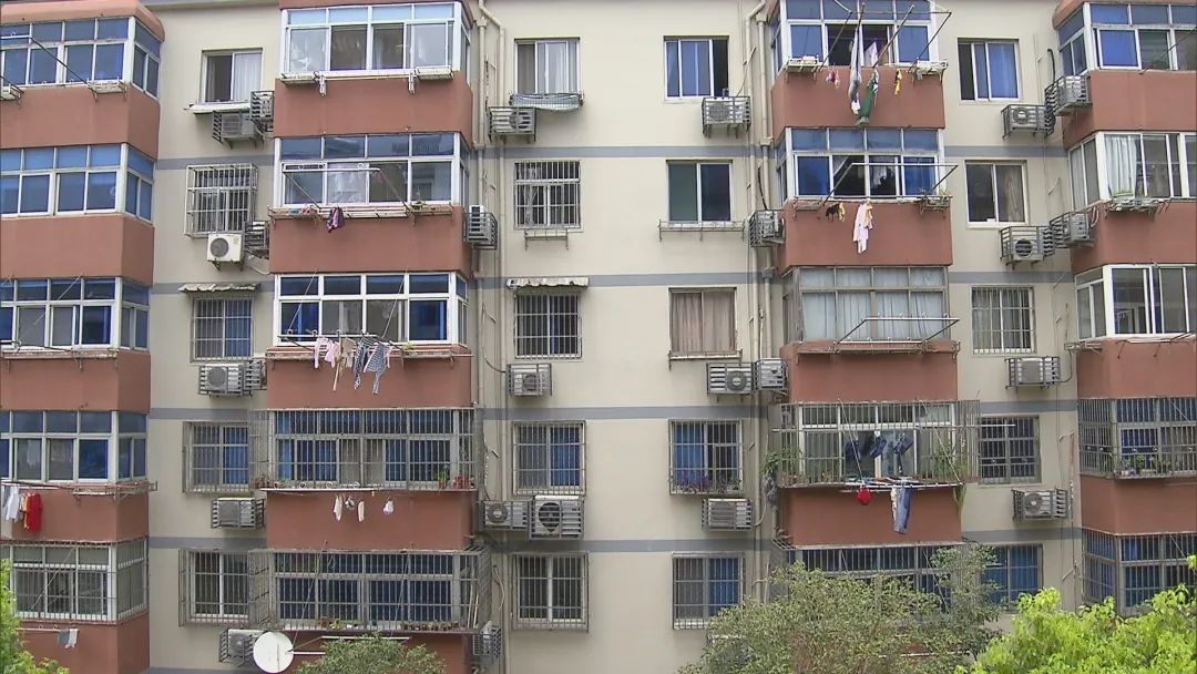 蝙蝠|家里蚊子少了很多，却高兴不起来！因为“更吓人的东西来了”…