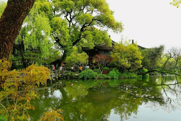 浙江省|西湖景区的免票模式，是因为浙江有钱吗？为何大多数景区无法实施
