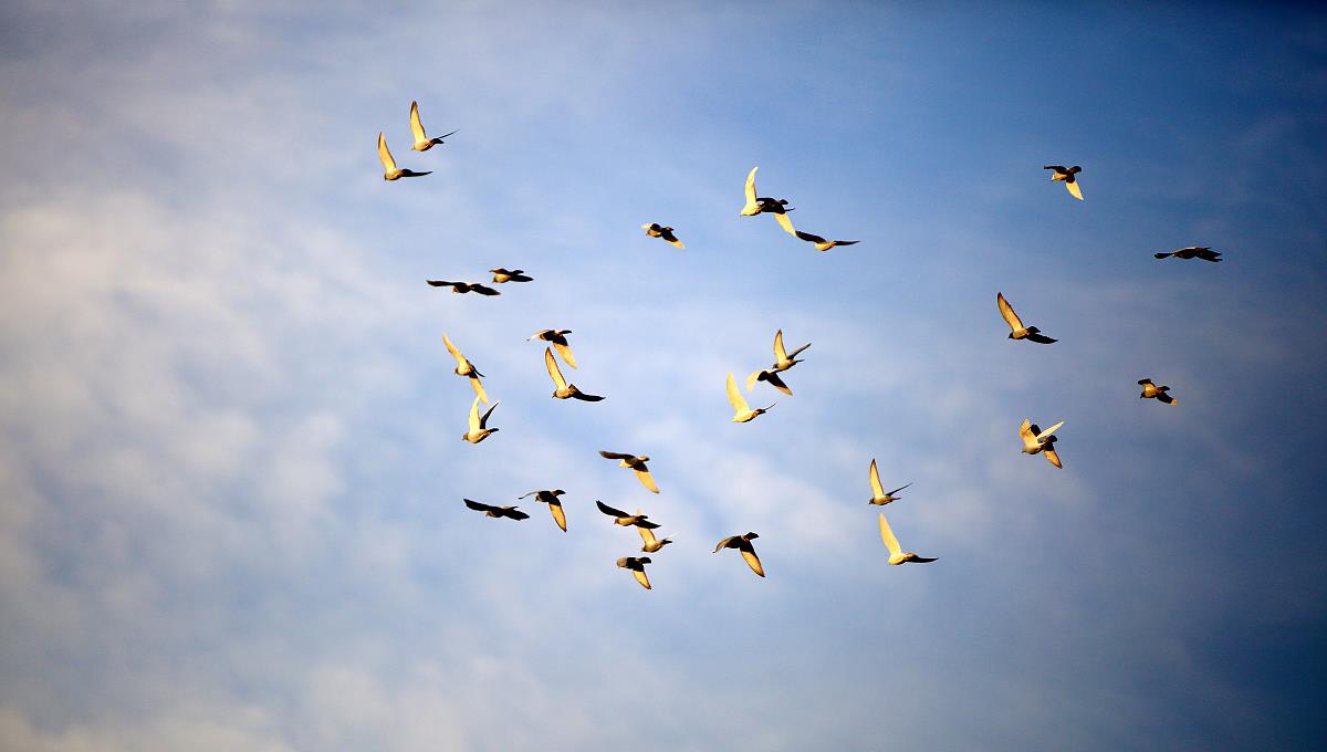 环保|未来10年，中国最贵的东西不是房和车？马云：是两样不起眼的东西