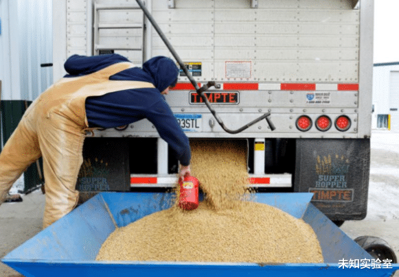 |千万吨大豆订单花落谁家？美国愿望落空，又一国出来抢生意