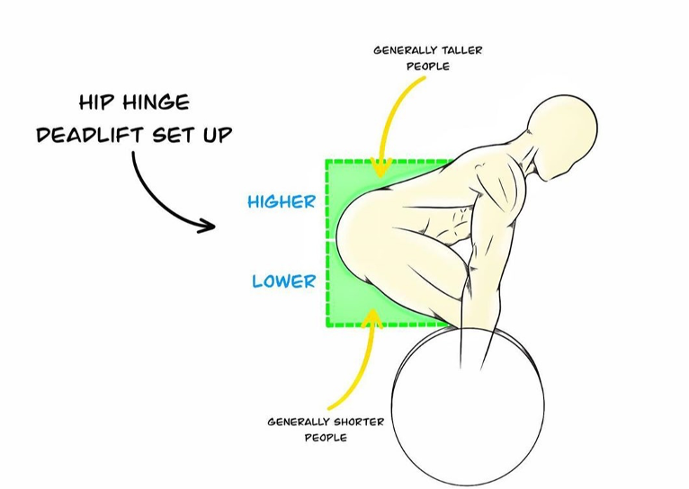 深蹲|这个动作跟深蹲一样有惊喜，男女都建议多练