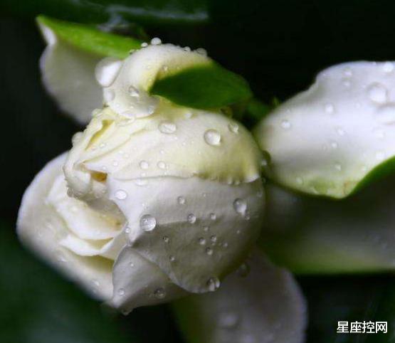 金牛座|7月底能够心想事成的3个星座，有人暗中相助，好运气伴随