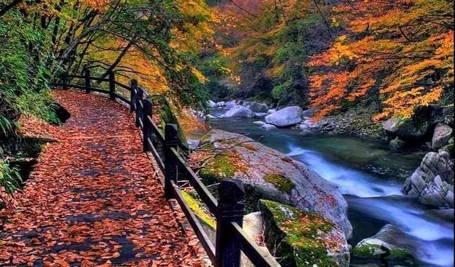 「秦岭」秦岭深处的异域空间，即便再忙也要抽出时间，去黄柏塬看一看