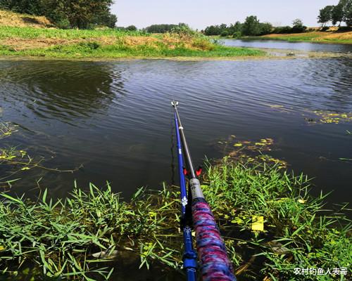 饵料|在自然水域作钓，饵料香就好上鱼吗？解析老钓友野钓开饵两大技巧