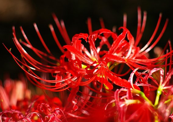 []六月下旬开始，4属相一往无前，没后顾之忧，生活富贵如意