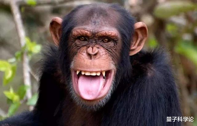 科学家|人类仍在进化,且在加速,科学家在35%的人手臂中发现了进化