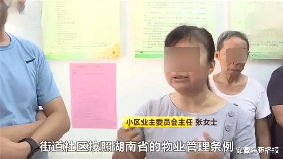 安徽海豚播报|业主要投票决定物业的去留，物业心虚了，派出十几名保安阻拦