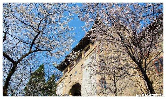 填报志愿：大学老师提醒：别固执地进入高考填报志愿误区，平台才是最重要的