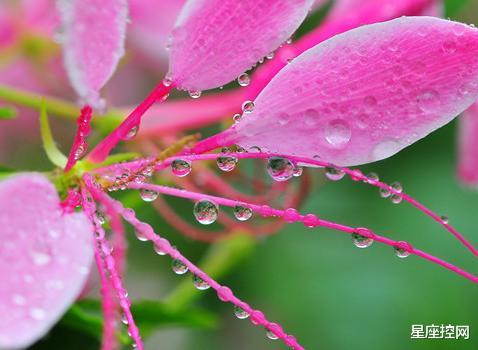 『』农历哪些日子出生的人,个性独立,自强自立,靠自己打拼出事业