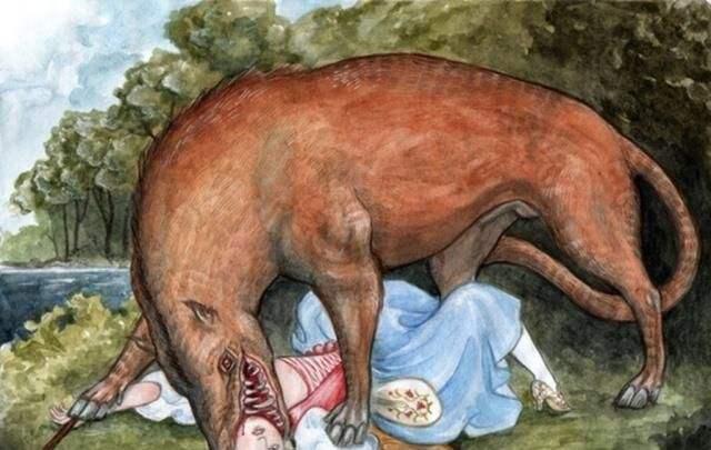 非洲：比野味还要危险的东西！世界上5只危险的动物