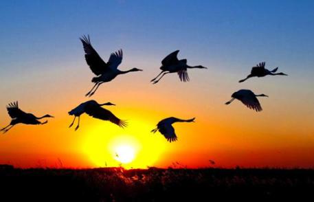 高校▲殡葬专业很冷门？国内仅5所高校招生，还没毕业就预定完月薪1.5万