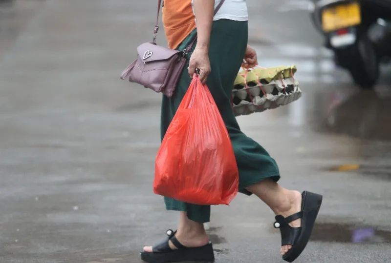 南方杂志|广东定了！年底全省禁用！