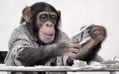 |当年那只上个大学的猩猩,将自己当成人类生活,结局怎么样了?