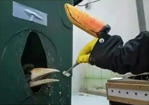 显微镜|26个神奇的现象,显微镜下蚂蚁的脸让人瑟瑟发抖!