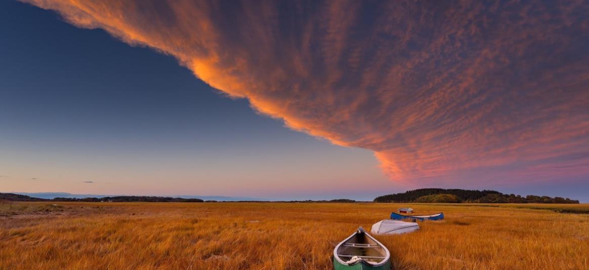 生肖|10月，纠结很久，纠缠很累，一生所爱，无法放弃旧情人的3大星座