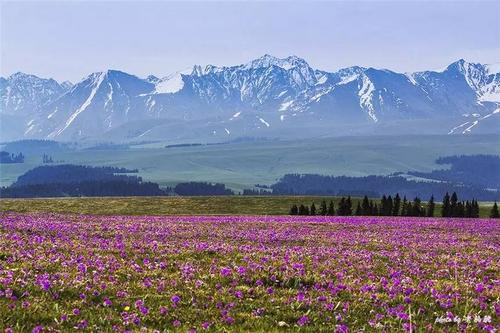 天山|划开南疆北疆——天山