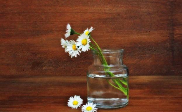 运势|9月，职场得意，连连高升，生财有道，迎接富贵荣华的4大生肖