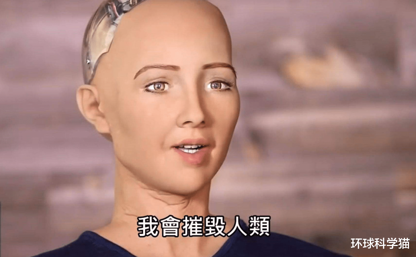 机器人|“猪机结合”巅峰认知！人工智能真的会导致人类灭亡吗？