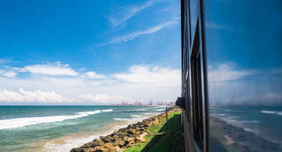 |斯里兰卡独特风俗,踩着高跷钓鱼,游客直言:被坑惨了!