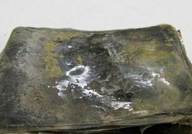 南极：南极惊现百年前的胶卷，修复成功后，画面轰动了全世界