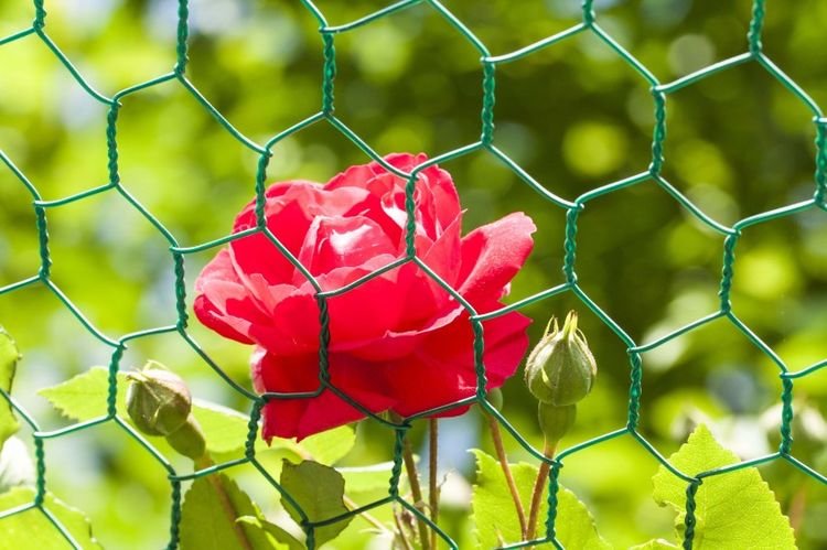 生肖|8月开始好运不迟到，事业节节高升，告别愁眉苦脸的4生肖