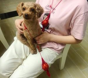 粽子：端午除了吃粽子，这几样传统美食都不能少，你知道吗？