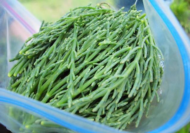 「牛奶」钙含量是牛奶的5倍，外国人视作高端菜，中国栽种却少有人吃过！