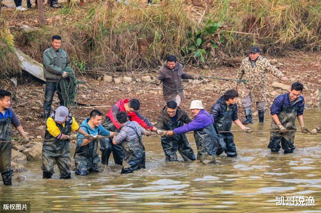 ##开坑前一天放鱼1000斤，抽干水时却没鱼，黑坑老板套路在这里