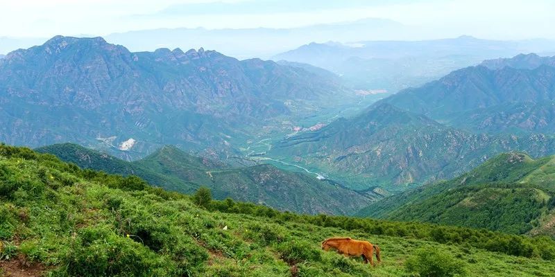 灵山|京城第一峰：要爬就爬最高的山