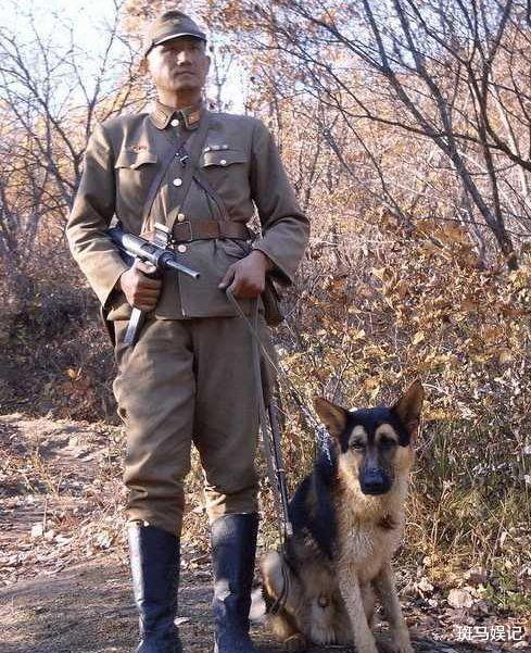 陆鹏|一直被误认为日本人，却拥有中国最高学历，连李幼斌都佩服他