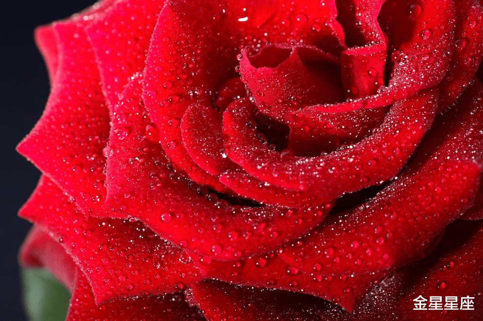 「生肖」7月8号，正财旺盛，天降横财的3大生肖，绝对不能错过，接喜