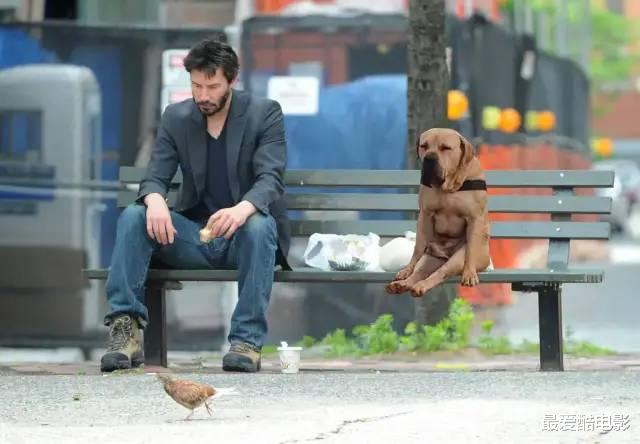 [电影]豆瓣8.3，23年后看了未删减版，才觉得确实配得上这个分数