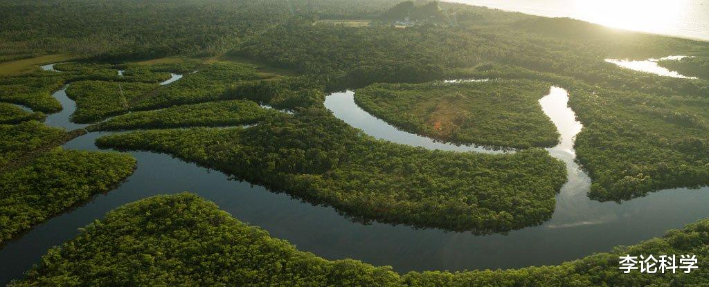 亚马逊河|亚马逊河到底有多可怕？为什么连当地人都不敢在里面游泳？