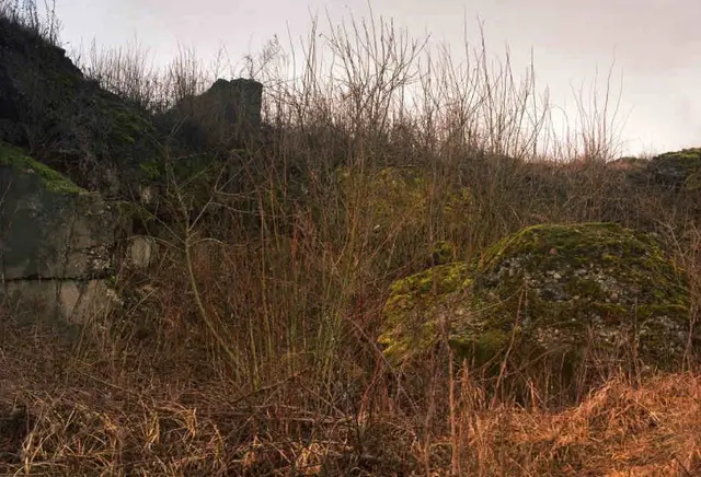 『狙击手』中国狙击手隐藏技术，若能在9秒内找出，说明有当空军的潜质