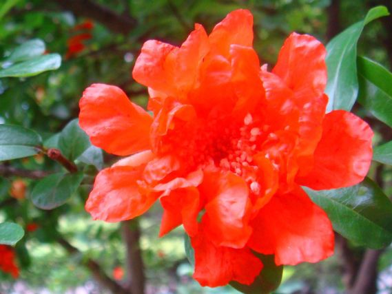 「吉星」进入4月中旬，4属相有望功成名就，两手握正财，意外惊喜不断