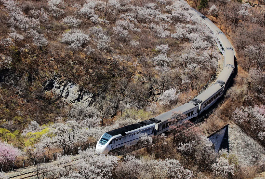 餐厅|别不信，麦当劳可以吊打景区美食