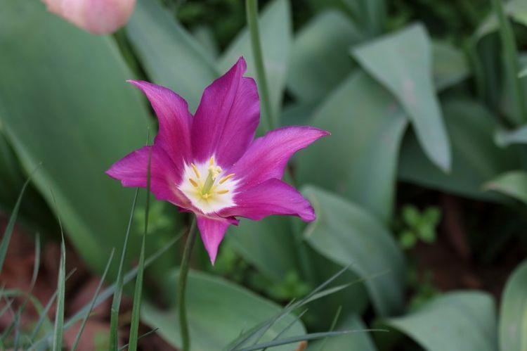 生肖|四个星座在近期运势最旺，桃花缠身姻缘拦不住，有望顺利脱单