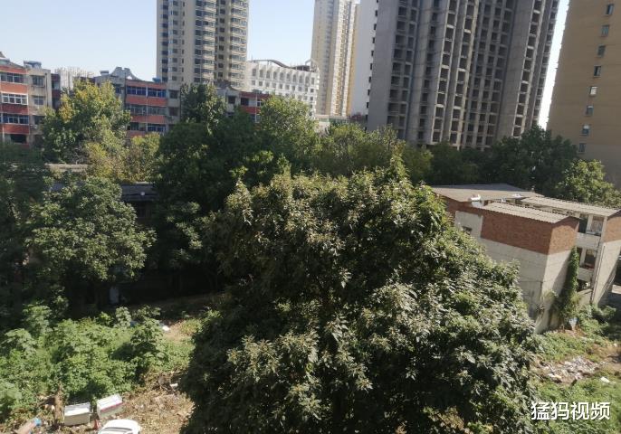 猛犸视频|平顶山这家烂尾小区居民好尴尬 买房8年入不了户口