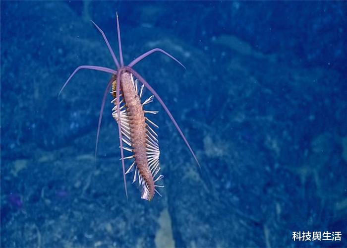 「科学家」一只沉睡42000年的生物，如今被人类唤醒，是好还是坏？