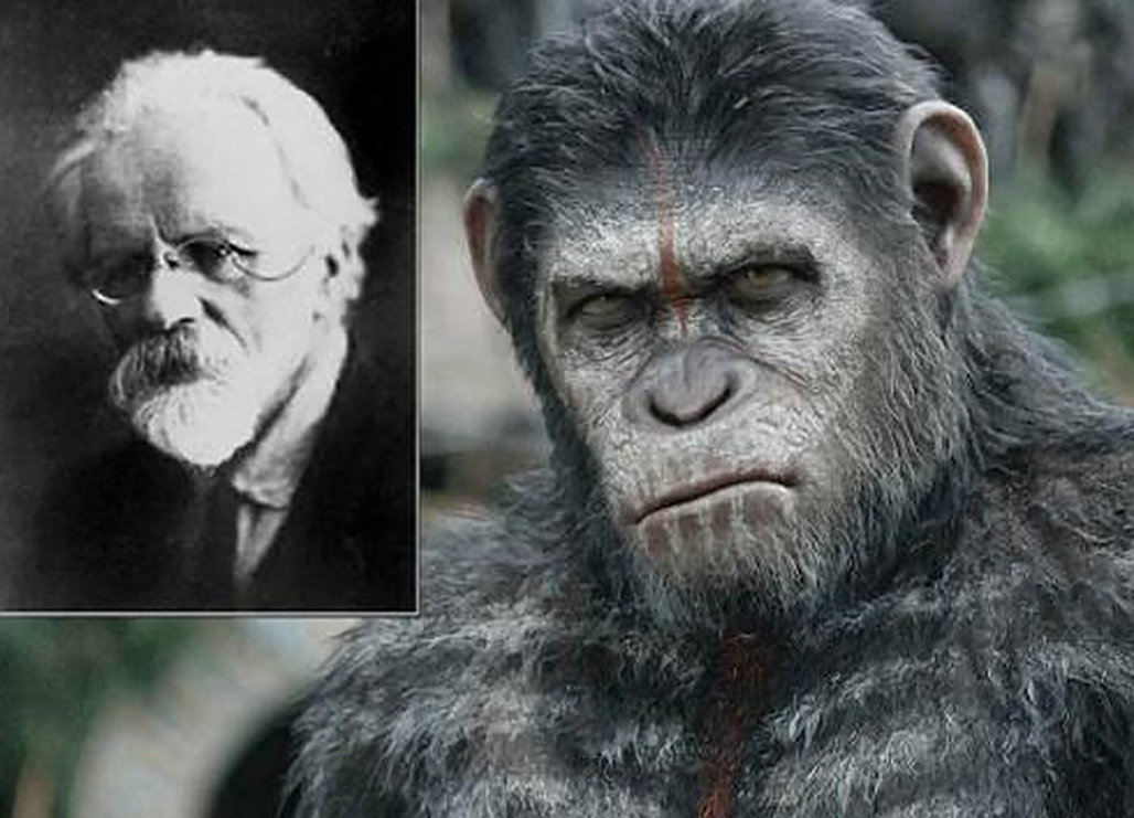 运载火箭|人类和黑猩猩有生殖隔离吗？苏联科学家找来5名女性，结果怎样？