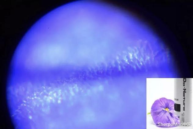 硬盘■日本人难以启齿的发明,将生活一切放大120倍,中国网友边骂边买!